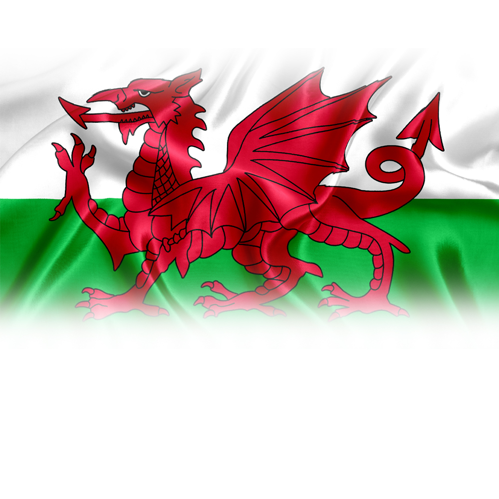 Yr Iaith Gymraeg Yr Iaith Gymraeg